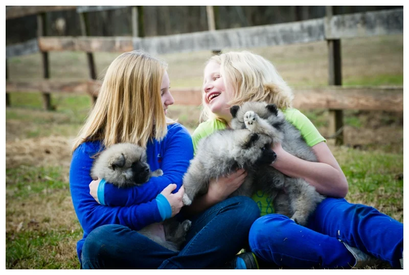 Puppies + Pillows [Winston Salem Children's Photographer]