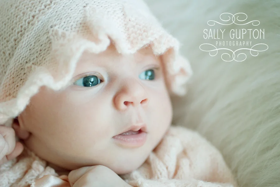 June . Winston Salem Newborn Photographer
