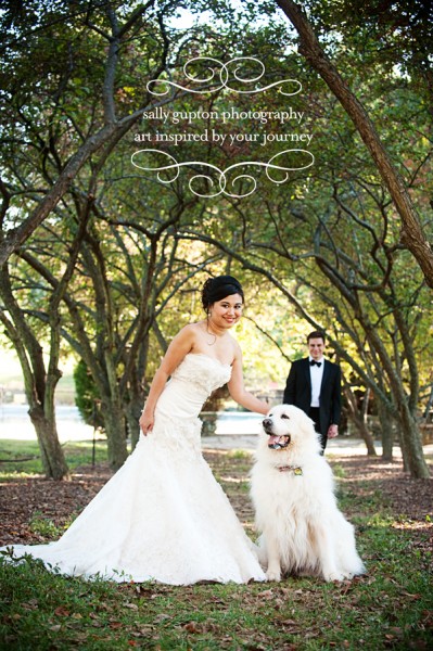 sophal + james [post wedding session]