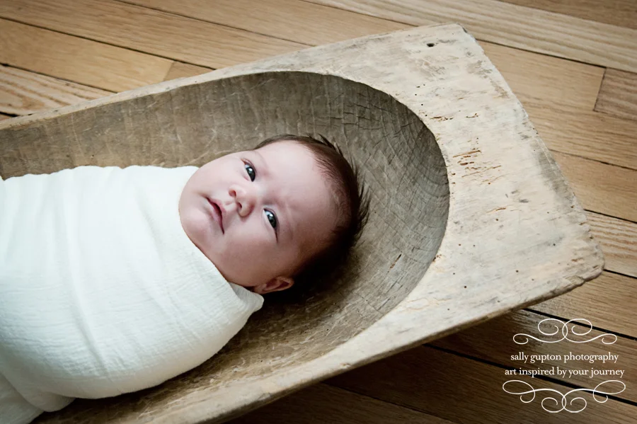 wren: winston salem newborn photographer