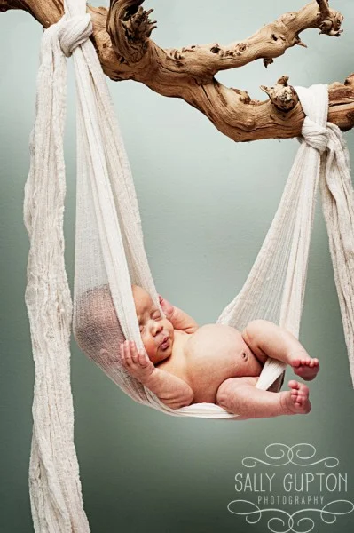 winston salem photographer::newborn