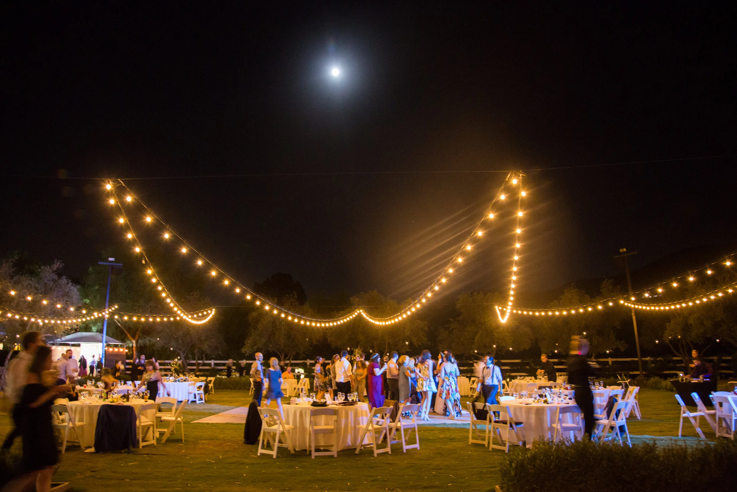 Wedding-1115.jpg