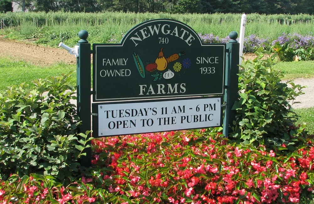 Vendors — Madison CT Farmers' Market