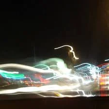 BIRD IS THE WORM 2/6/2012