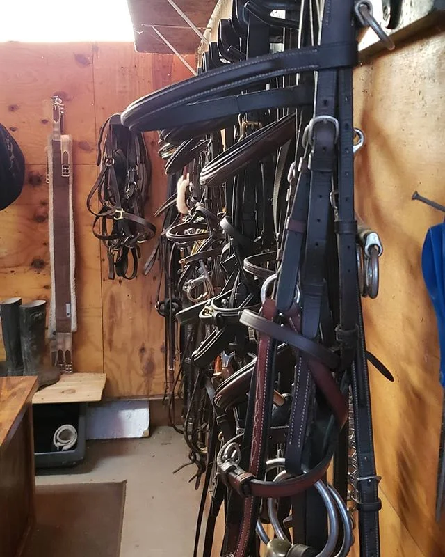 We LOVE clean tack. .
.
.
#tack #antares #edgewood #leathertherapyproducts