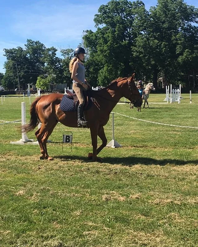 Remember our 30 day makeover??? Corduroy, adopted from @rocthestandardbred , in March.
Now working at one of the most premier camps in the country @forrestelridingcamp! So happy for him!!!