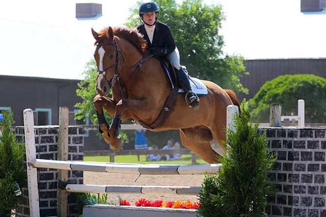 📢📣📣We are EXACTLY ONE WEEK AWAY FROM THE GREATEST HORSE SHOW IN WESTERN NEW YORK. 📣📣📢 Maybe not the greatest but wed like to think so. From crossrails to 3 foot, from hunters to jumpers... we have it all. Our first horse show this year was a blast and we look forword to our next show 📆Saturday July 13th & clinic with Jeremy Greene Sunday july 14th.
Let us know if you will be needing a stall... pre registration is appropriated.
#thederbyatengleside