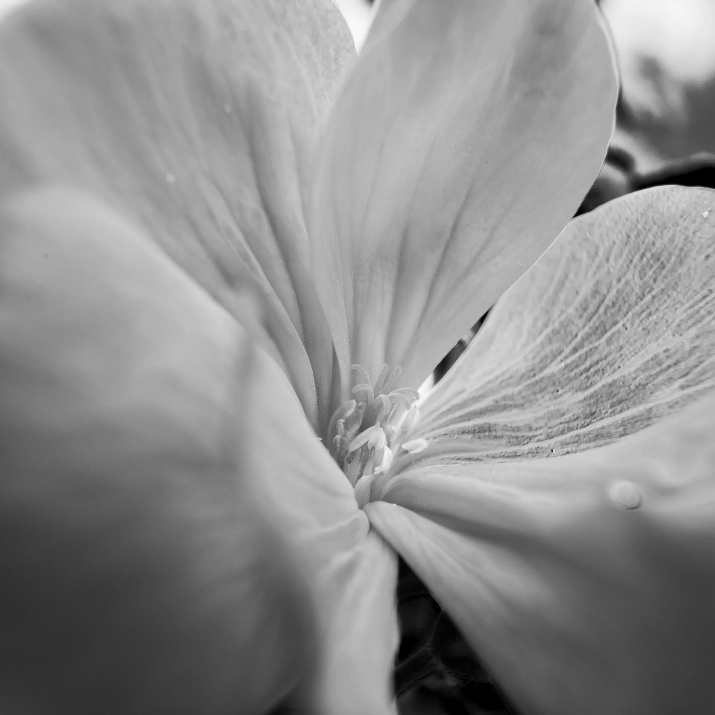 _DSC6611.jpg