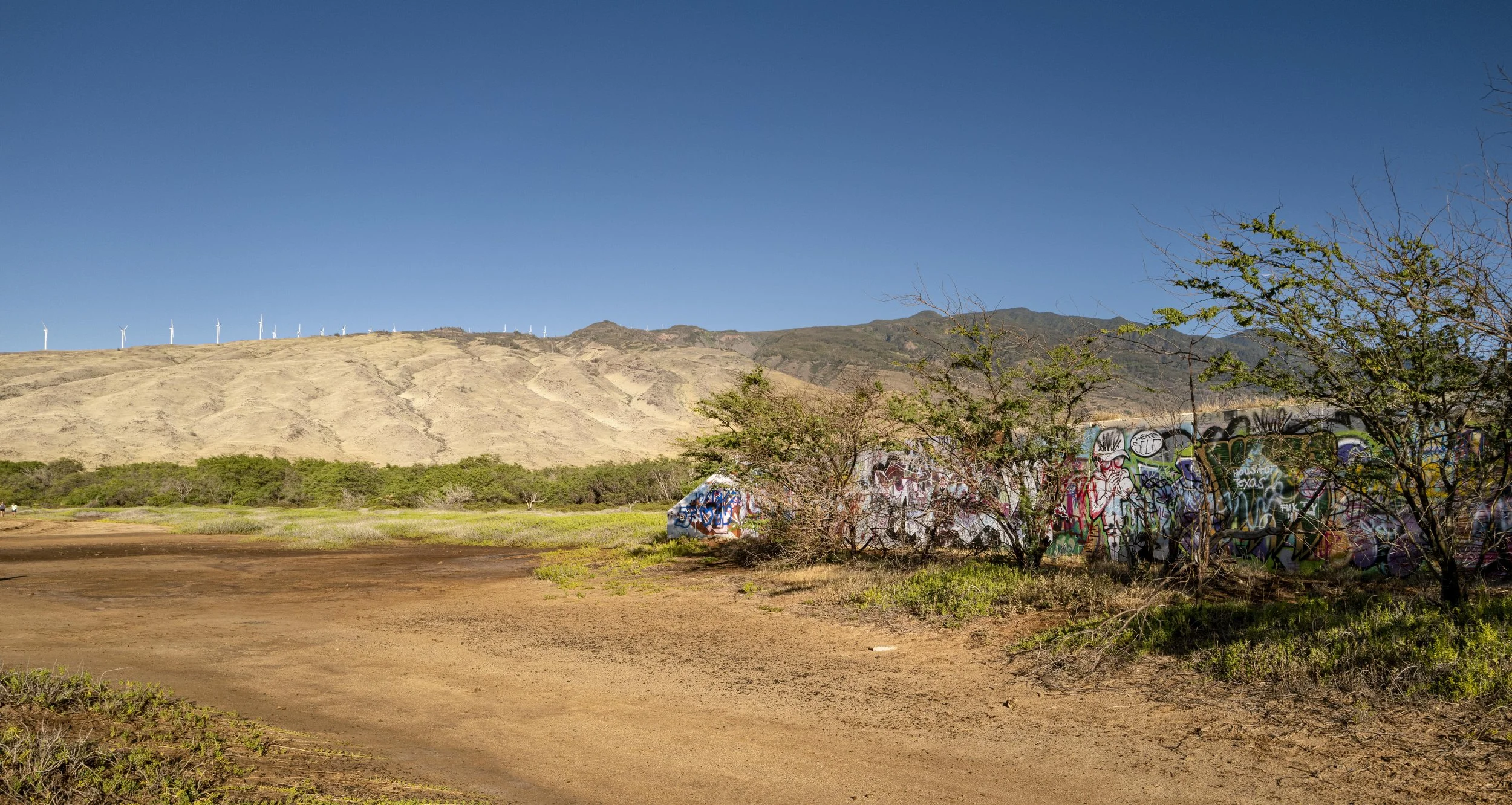 L1000107.jpg