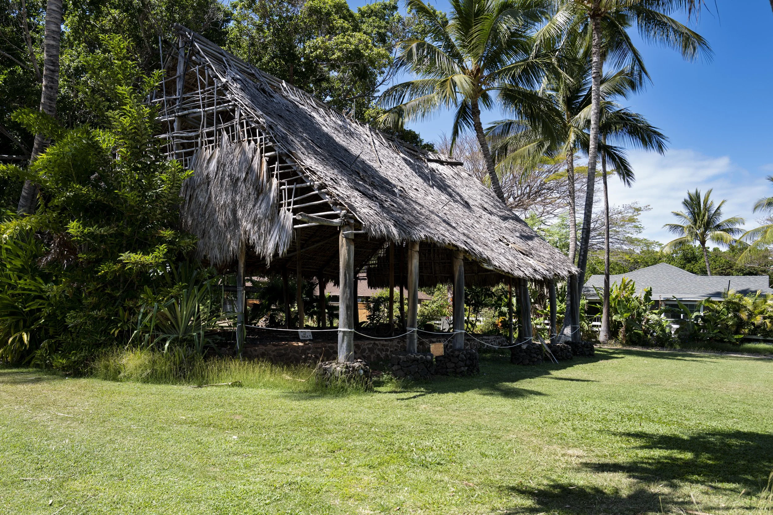 L1000158.jpg