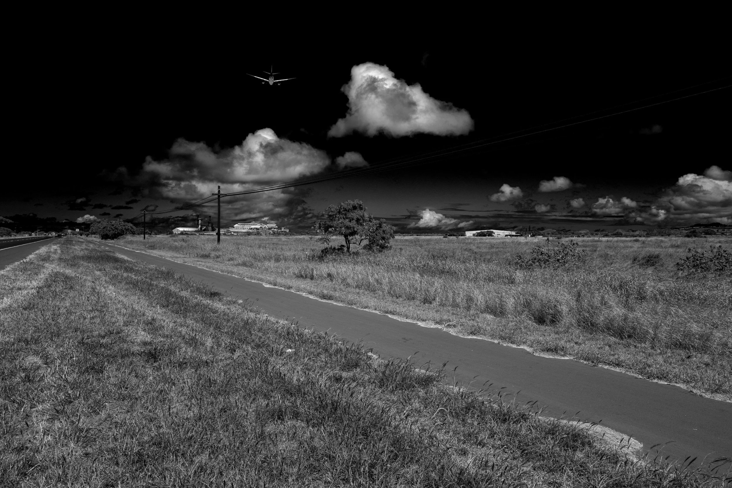 L1000228.jpg
