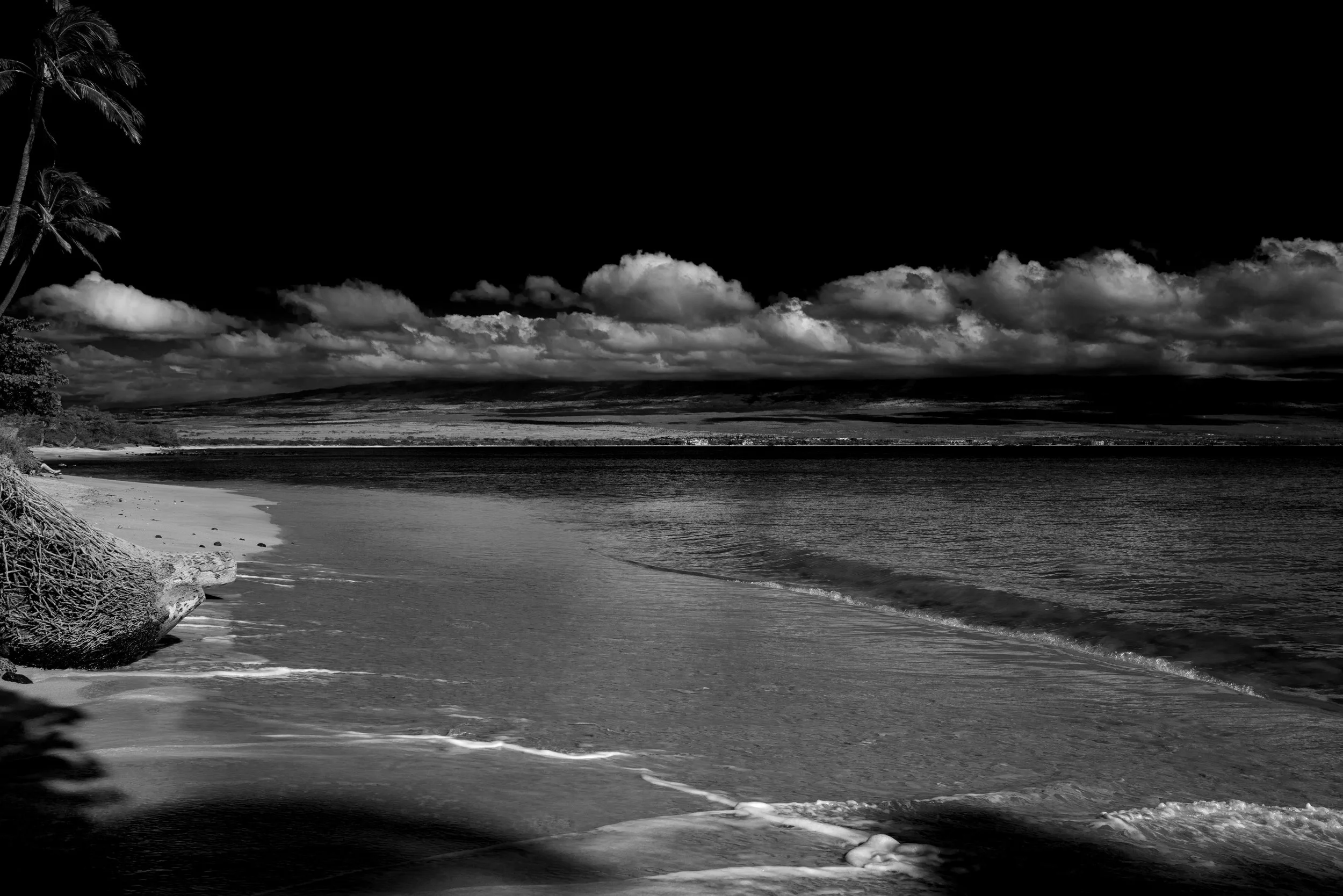 L1000255.jpg