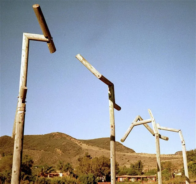 Hawk Poles