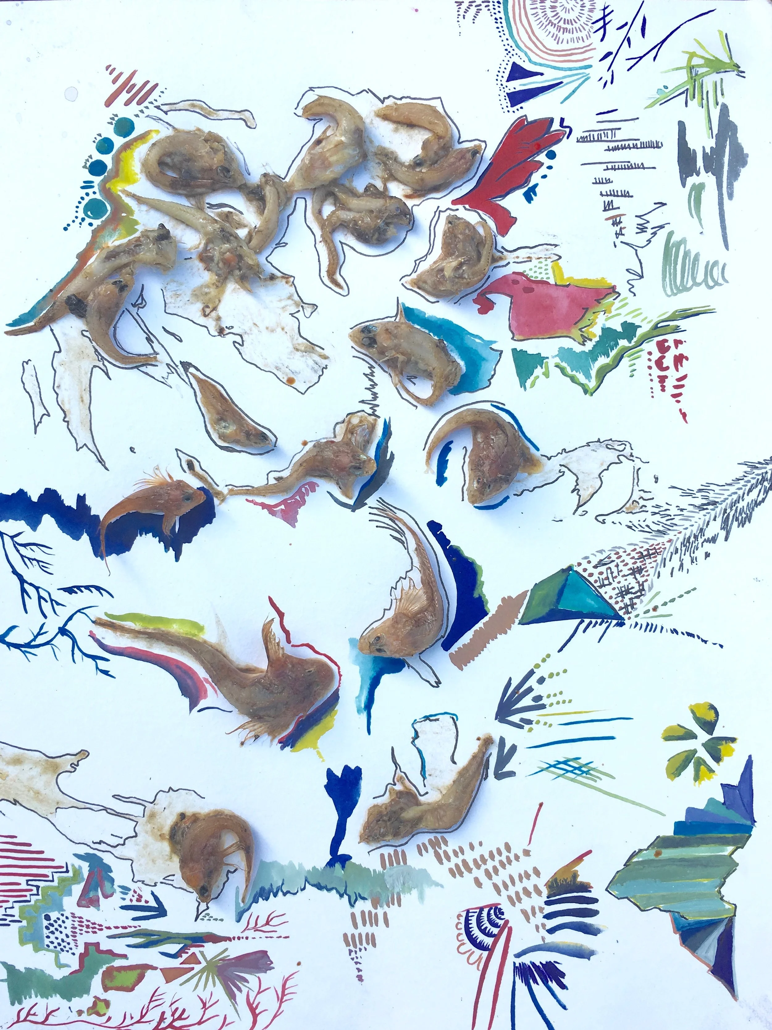 Foraged Drawings — Margot Becker