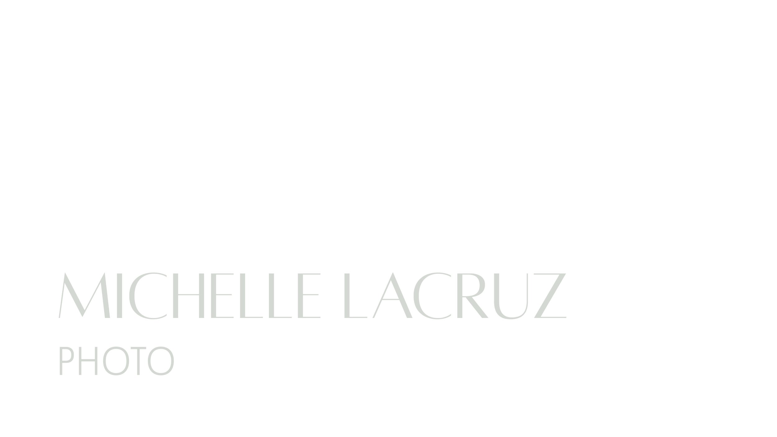 Michelle LaCruz 2023 Logo.JPG