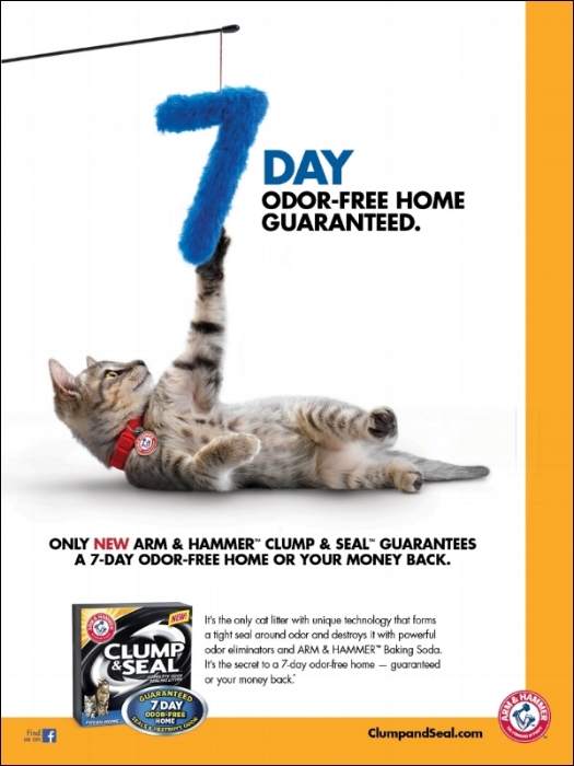 Cat Litter Print