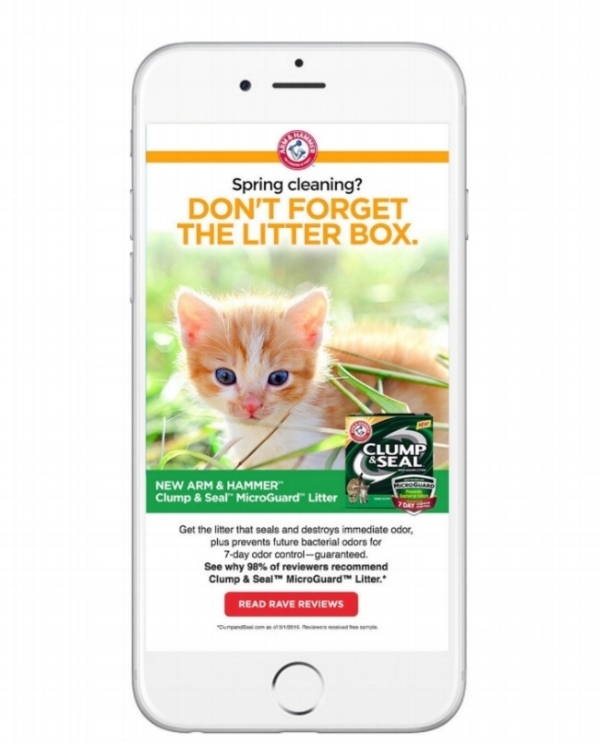 Cat Litter Email