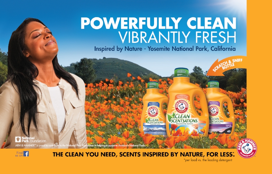 Clean Scentsations Laundry Print