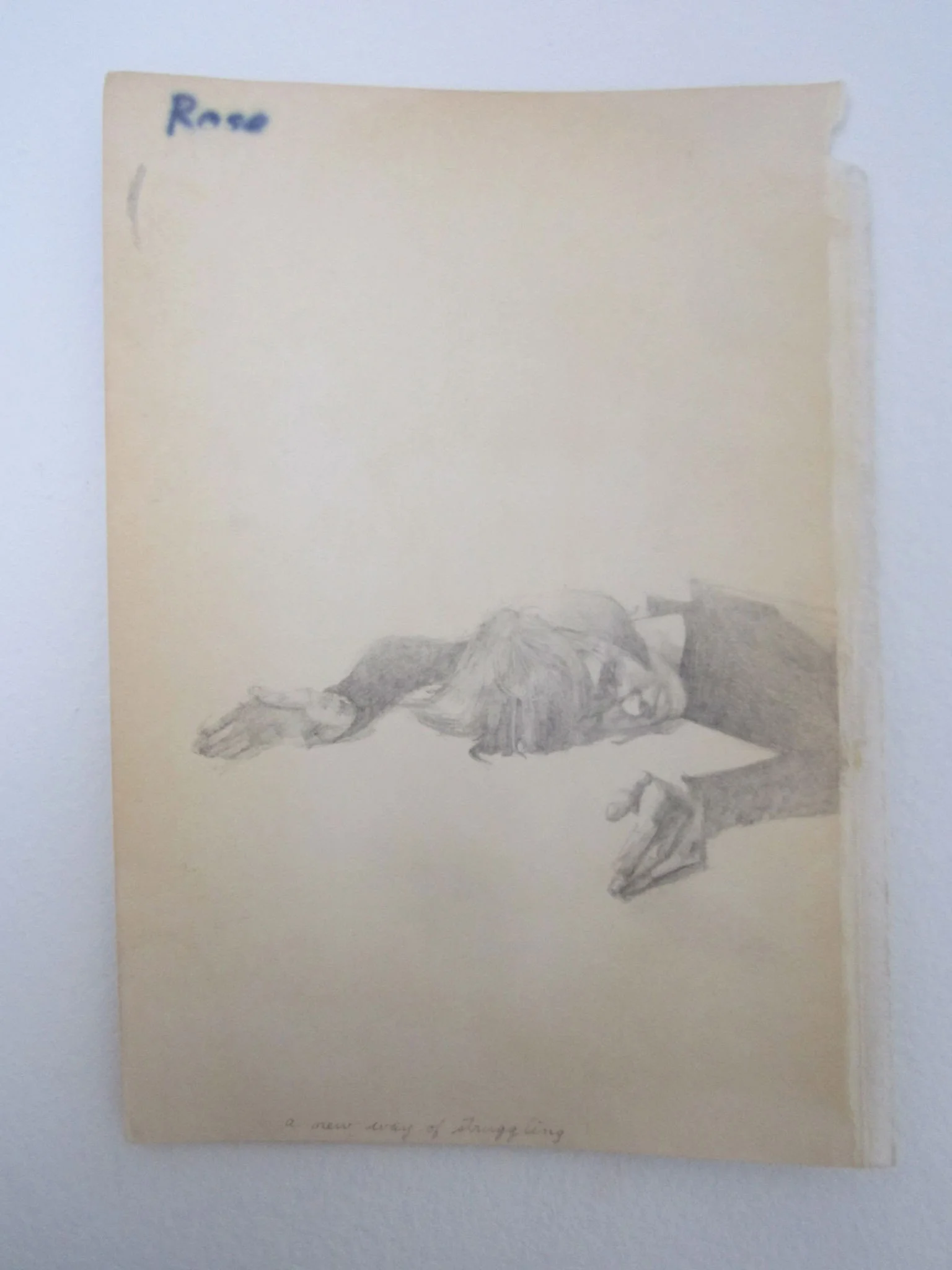 the golden-green selves of lewis rist (a new way of struggling), 2013, graphite on end page