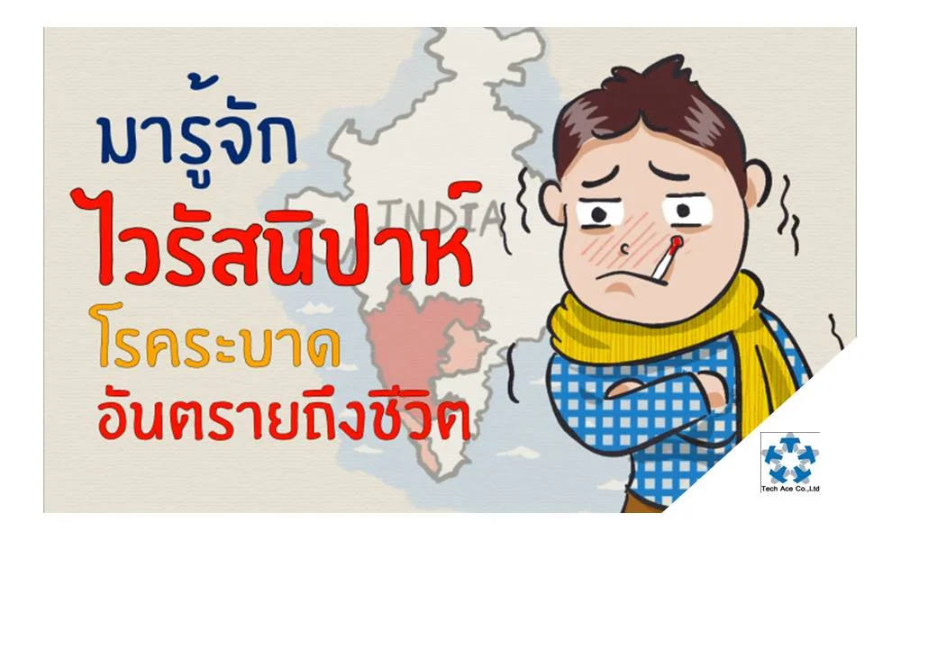 โรคติดเชื้อไวรัสนิปาห์ คืออะไร? โรคติดเชื้อไวรัสนิปาห์ เป็นโรคติดต่อระหว่างสัตว์สู่คน ที่เกิดจากการสัมผัสมูลสัตว์ และสารคัดหลั่งของพาหะนำโรค ได้แก่ ค้างคาวผลไม้ หรือสุกร ม้า แมว แพะ แกะ ที่รับเชื้อมาจากค้างคาวผลไม้อีกต่อหนึ่ง สามารถติดเชื้อจากคนสู่คนได้จากการสัมผัสสารคัดหลั่งของผู้ที่ติดเชื้อ เช่น เลือด หรือน้ำลาย โรคติดเชื้อไวรัสนิปาห์ เคยแพร่ระบาดครั้งแรกในช่วงปี 2541-2542 ที่มาเลเซีย สิงคโปร์ บังกลาเทศ และอินเดีย ปัจจัยเสี่ยงต่อการติดเชื้อไวรัสนิปาห์ เกษตรกรที่เลี้ยงสัตว์ทั้ง สุกร ม้า แมว แพะ แกะ รวมไปถึงผู้ที่อาศัยอยู่ในแหล่งที่ใกล้กับถิ่นอาศัยของค้างคาวผลไม้ ซึ่งพบได้ตามพื้นที่ป่าทึบ หรือป่าที่ใกล้กับชุมชนทั่วโลก ยกเว้นแถบขั้วโลกเหนือ ในประเทศไทยชนิดที่รู้จักกันดี คือ ค้างคาวแม่ไก่ป่าฝน (Pteropus vampyrus) จัดเป็นศัตรูพืชของเกษตรกรชนิดหนึ่ง นอกจากนี้การกินผลไม้ เช่น กล้วย ฝรั่ง ที่ค้างคาวกินทิ้งไว้ และปีนต้นไม้ที่มีค้างคาวมาเกาะ ก็อาจเป็นปัจจัยเสี่ยงในการติดเชื้อไวรัสนิปาห์ด้วยเช่นกัน อาการของผู้ติดเชื้อไวรัสนิปาห์ 1. มีลักษณะอาการคล้ายกับอาการไข้หวัดธรรมดา เช่น มีไข้ ปวดศีรษะ อ่อนเพลีย ปวดเมื่อยตามเนื้อตามตัว 2. หายใจเร็ว หรือหายใจลำบาก 3. หากเริ่มมีอาการหนักขึ้น จะเริ่มไอเสียงดัง 4. อาจมีอาการแทรกซ้อนที่อันตรายขึ้นมา เช่น ปอดบวม สมองอักเสบ ส่วนใหญ่เมื่ออาการหนักจะมีอาการคล้ายโรคสมองอักเสบ (คนไทยจะเรียกโรคนี้ว่า โรคสมองอักเสบนิปาห์) 5. เริ่มซึม สับสน หรือมีอาการชัก หากปล่อยให้อาการเริ่มหนักขึ้นเรื่อยๆ โดยไม่รีบทำการรักษา อาจเสี่ยงเสียชีวิตได้ อัตราการเสียชีวิตด้วยโรคไข้สมองอักเสบนิปาห์ในคนประมาณร้อยละ 40 การรักษาโรคติดเชื้อไวรัสนิปาห์ ปัจจุบันยังไม่มียาตัวไหนที่สามารถต้านทานไวรัสนิปาห์ได้โดยตรง รวมไปถึงยังไม่มีวัคซีนที่สามารถป้องกันไวรัสนิปาห์นี้ได้อย่างมีประสิทธิภาพอีกด้วย ดังนั้นแพทย์จะทำการรักษาตามอาการ โดยอาจใช้ยาต้านไวรัส Ribavirin ในผู้ป่วยที่ติดเชื้อไวรัสนิปาห์ สามารถลดความรุนแรงของโรคได้ การป้องกันโรคติดเชื้อไวรัสนิปาห์ 1. ล้างมือด้วยสบู่ให้สะอาดทุกครั้ง เมื่อต้องสัมผัสกับสัตว์ เนื้อสัตว์ ซากสัตว์ (โดยเฉพาะสุกร ม้า แมว แพะ แกะ และค้างคาวผลไม้) 2. ห้ามรับประทานเนื้อสัตว์สุกๆ ดิบๆ 3. ชำระล้างเครื่องใช้ในครัวเรือน รวมถึงอุปกรณ์ของใช้ส่วนตัวต่างๆ ให้สะอาดด้วยน้ำยาฆ่าเชื้อโรค เมื่ออยู่ในแหล่งที่มีความเสี่ยงที่จะติดโรค เช่น ในป่าทึบ ในแหล่งเพาะพันธุ์สัตว์ 4. หากพบซากสัตว์ที่ตายโดยไม่สามารถระบุสาเหตุที่ชัดเจน ไม่ควรนำมารับประทาน ควรทำลายซากด้วยการเผา หรือฝัง 5. หากพบสัตว์ หรือซากสัตว์ที่ติดเชื้อ ไม่ควรเคลื่อนย้าย หรือลากสัตว์ออกจากจุดที่พบเกิน 2 กิโลเมตร เพื่อป้องกันการแพร่กระจายของเชื้อโรค 6. ไม่รับประทานผลไม้ที่ตกอยู่กับพื้นในป่า หรือตามพื้นในที่ต่างๆ โดยเฉพาะที่มีรอยกัดแทะของสัตว์ จนถึงปัจจุบัน ยังไม่พบผู้ติดเชื้อไวรัสนิปาห์ในประเทศไทย แต่กรมควบคุมโรค กระทรวงสาธารณสุขไม่ได้นิ่งนอนใจต่อการแพร่ระบาดของโรคนี้ ยังคงติดตามเฝ้าระวังการแพร่ระบาดของเชื้อโรค ตรวจสอบผู้ที่เดินทางกลับมาจากแหล่งที่เชื้อโรคระบาด รวมไปถึงเตรียมความพร้อมในการตรวจหาเชื้อจากผู้ที่เสี่ยงได้รับเชื้อที่สถาบันวิจัยวิทยาศาสตร์สาธารณสุขตลอดเวลาราชการ