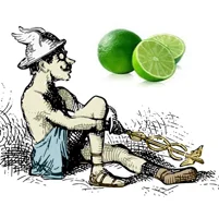 SqXprntIcon_limejpg.jpg
