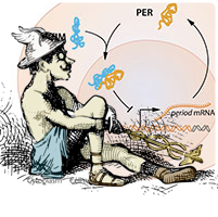SqXprntIcon_nobelmed2017.png
