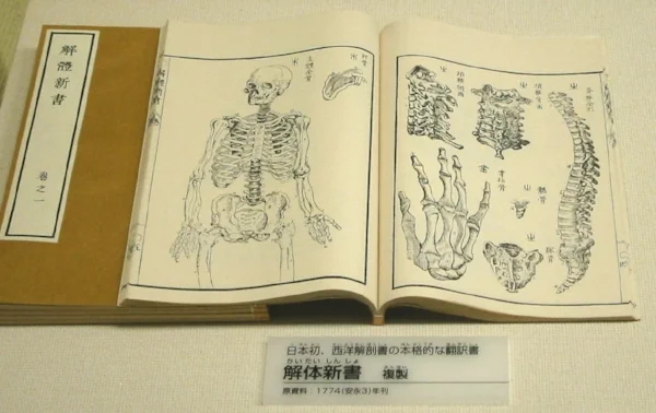 The New Text on Anatomy
