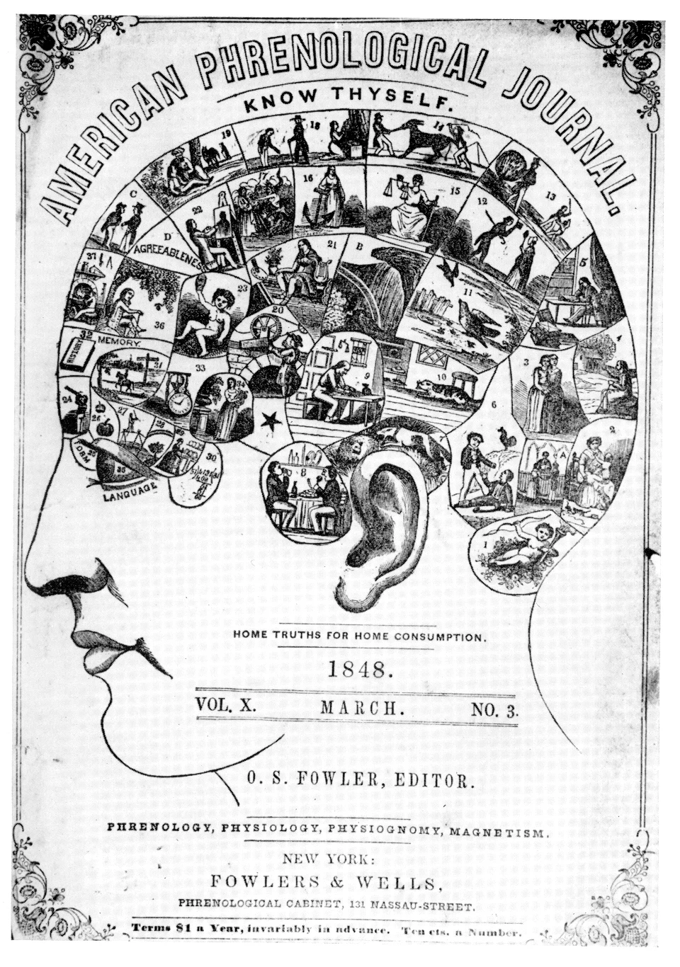 Phrenology Map