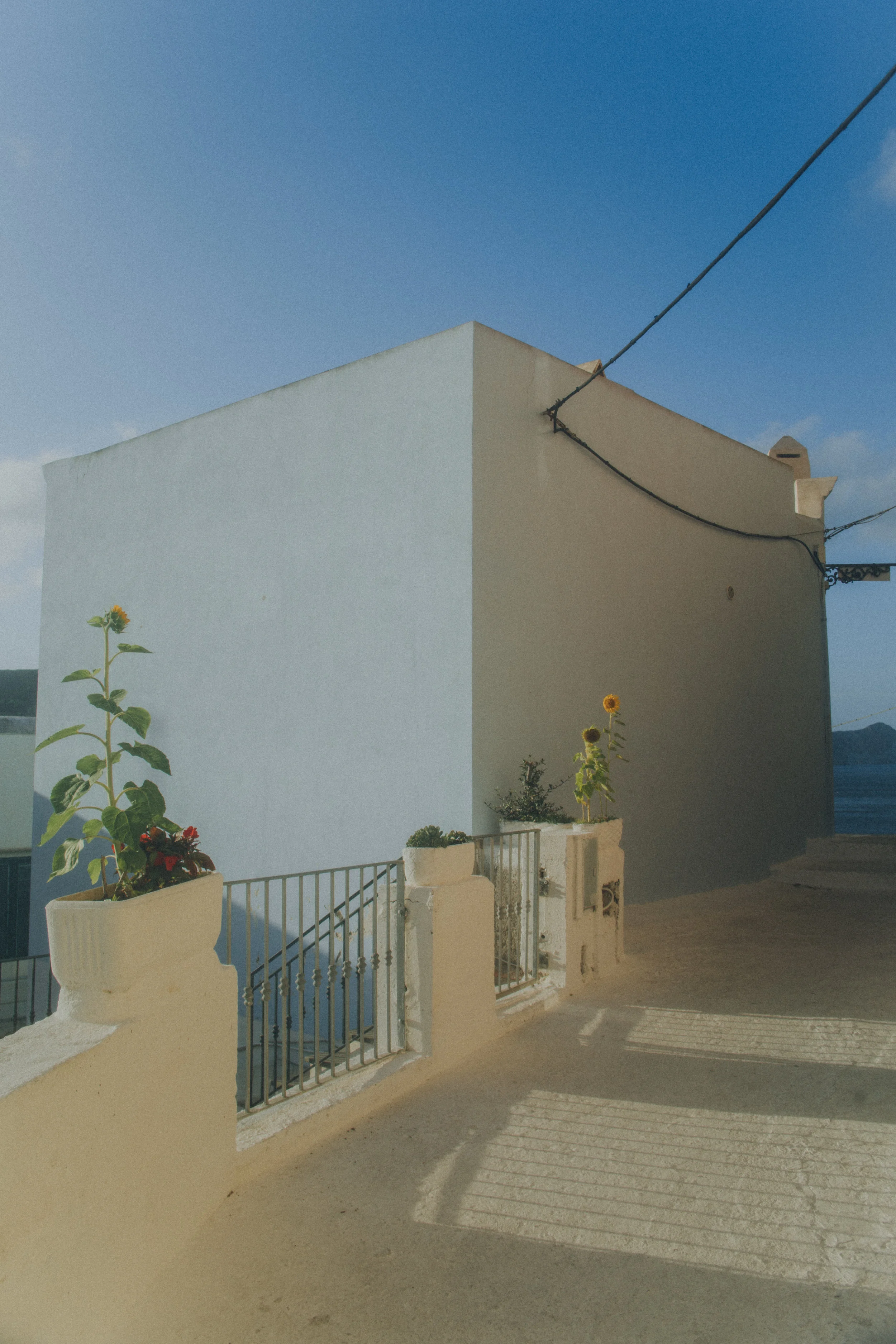 7D0A3381.jpg