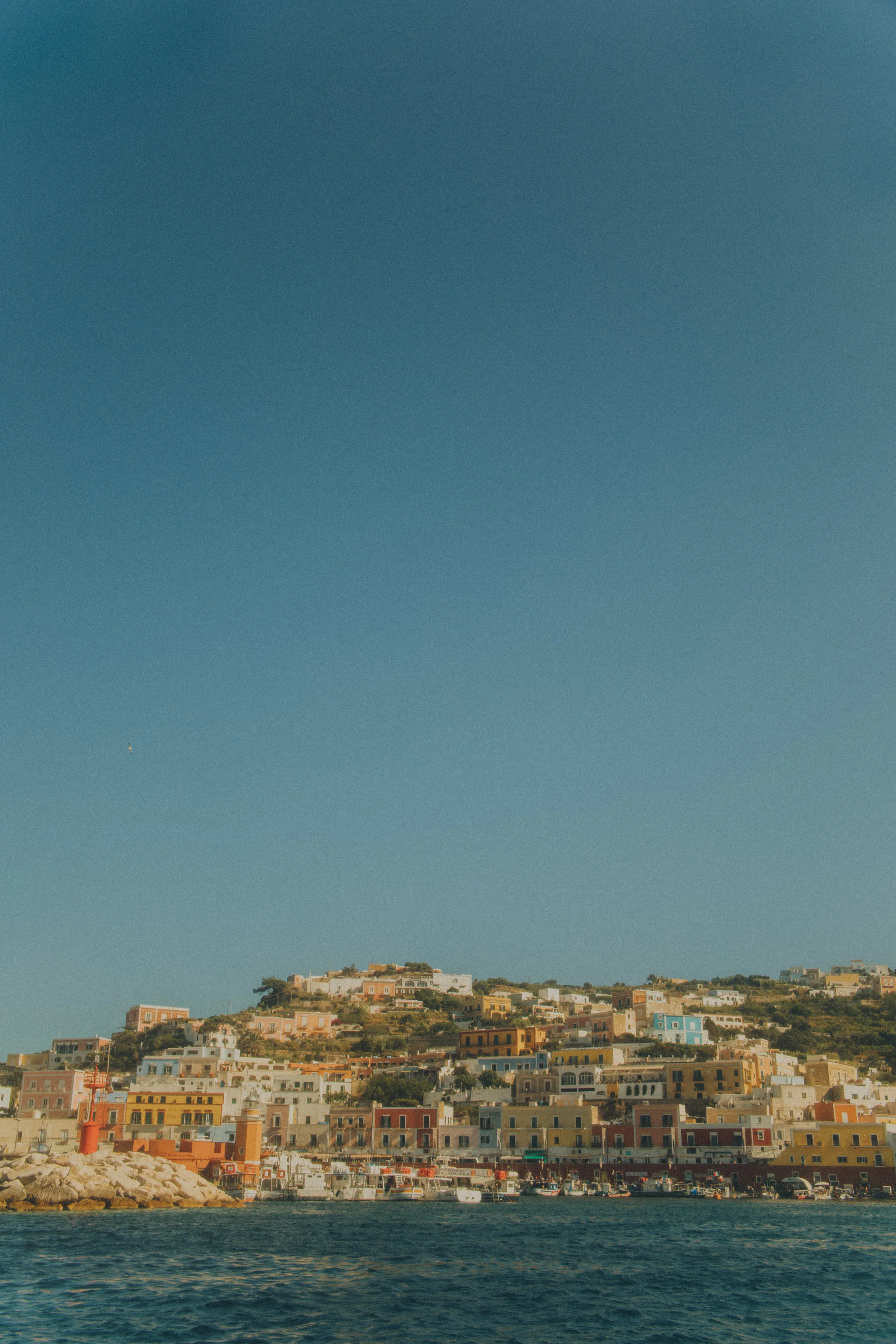 7D0A3647.jpg