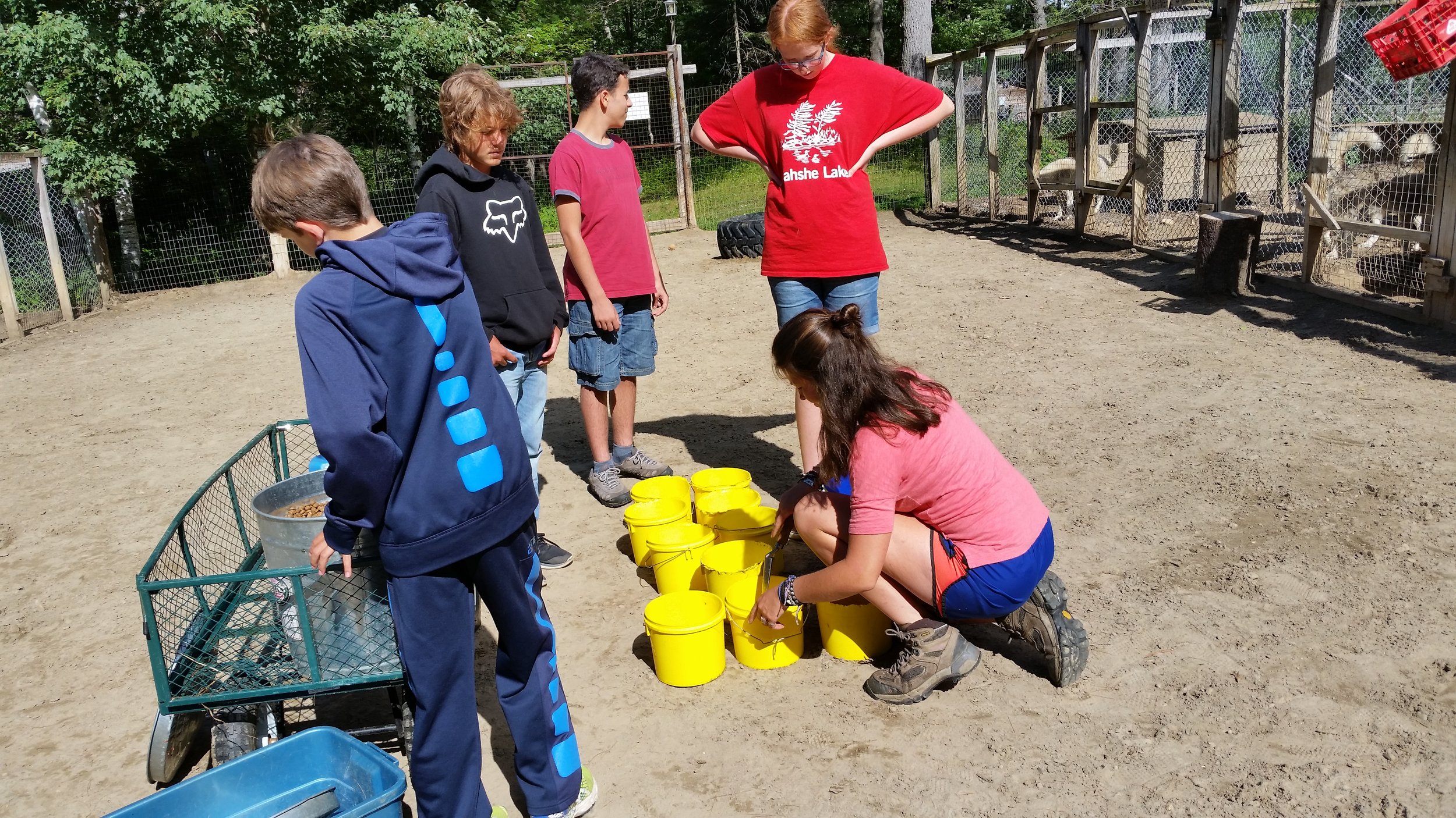 20150721_163714.jpg