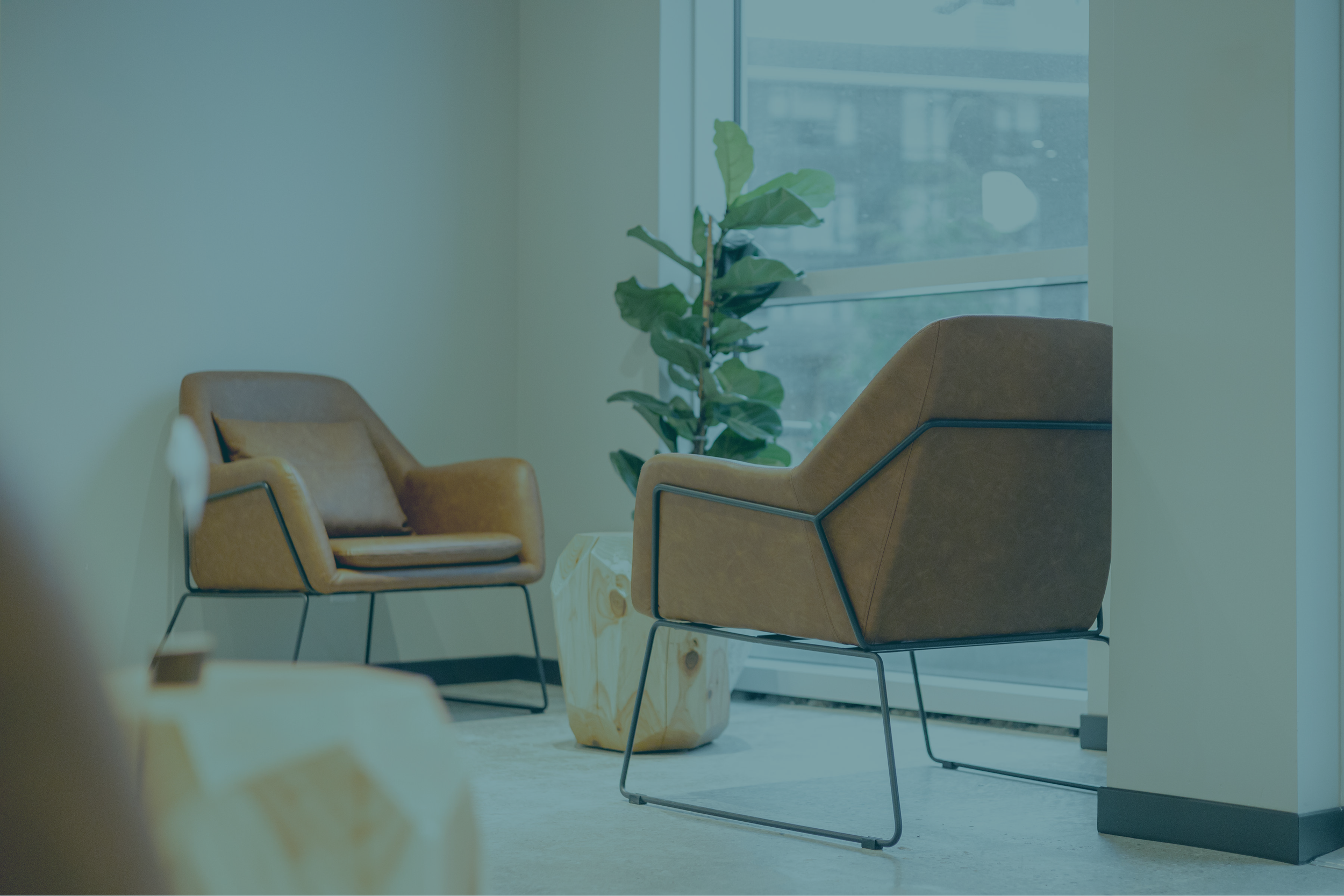 Website Header - Contact.png