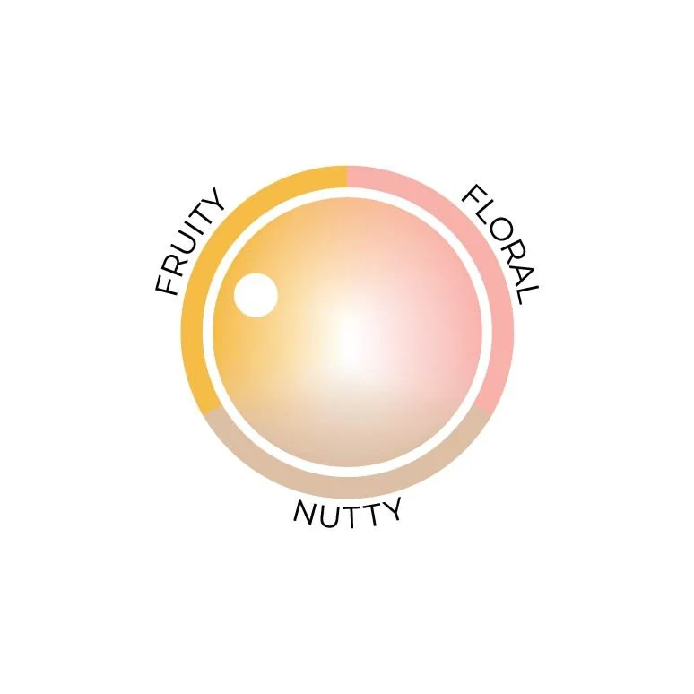 bankogotiti ethi wheel.jpg