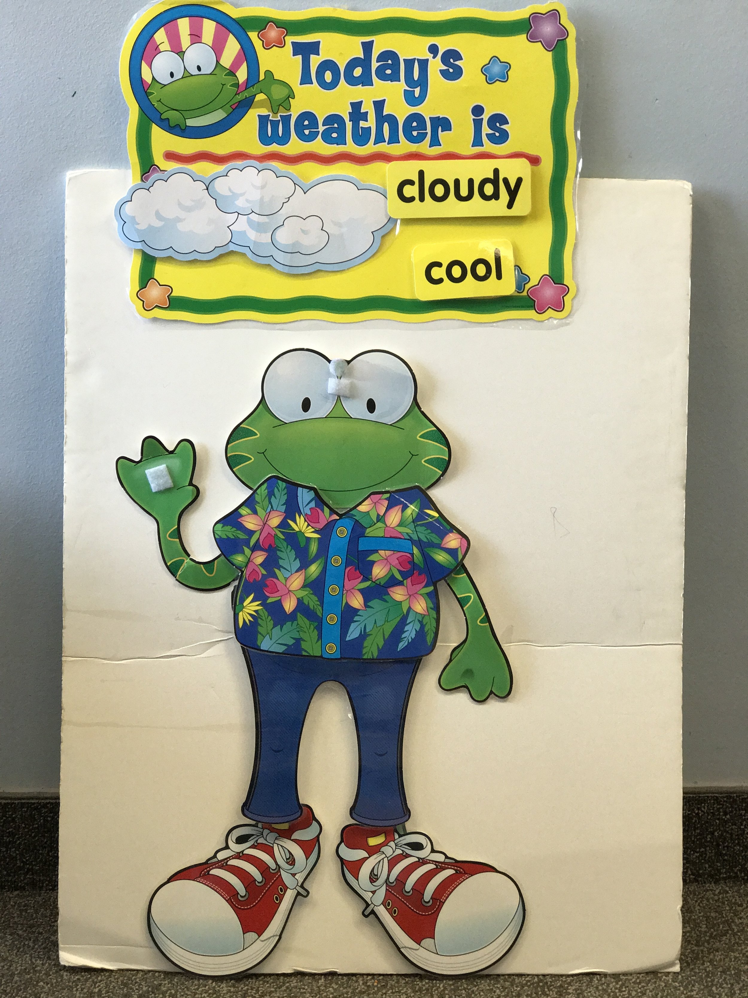 weather frog cloudy and cool.JPG