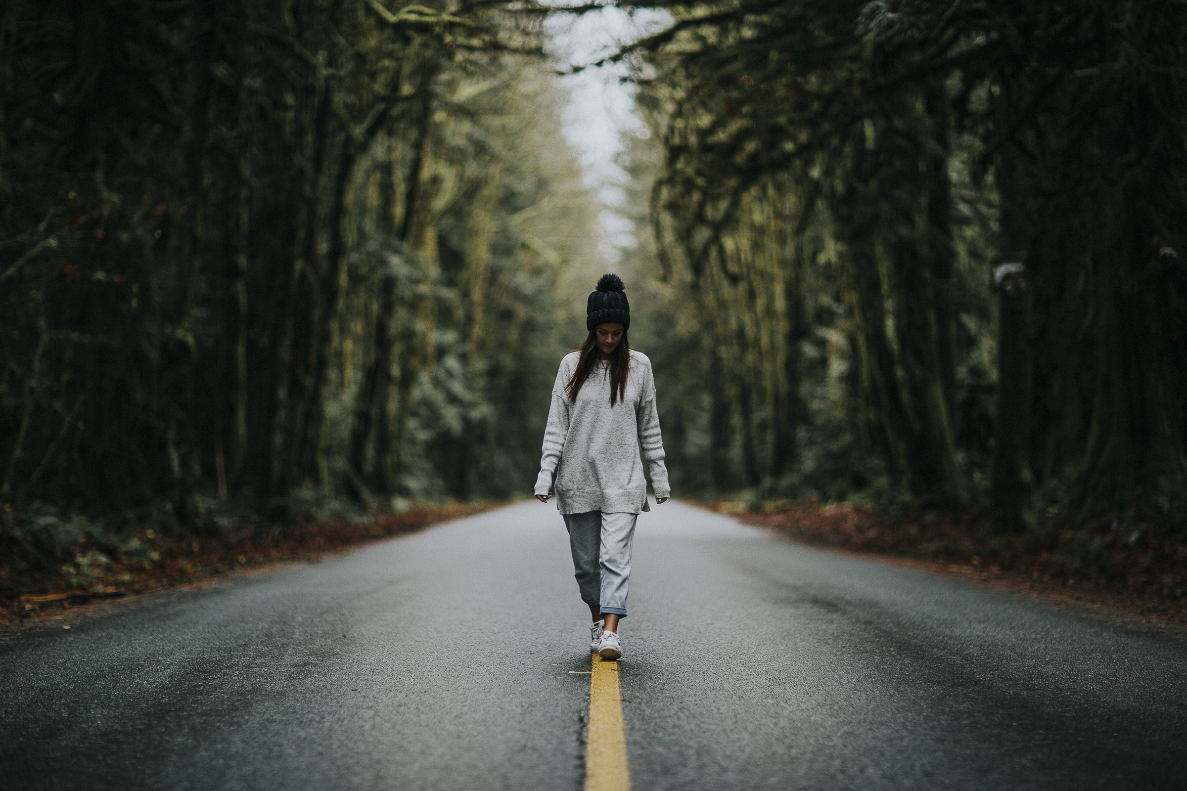 Cat-walk-forest-road