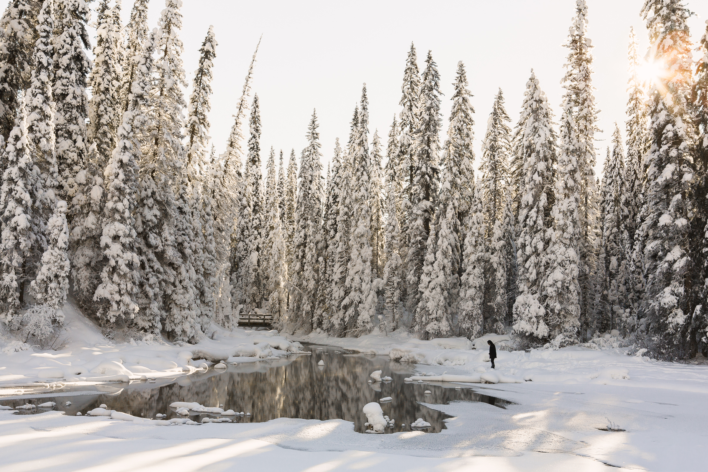 Sunlight-winter-snow-ice-lake