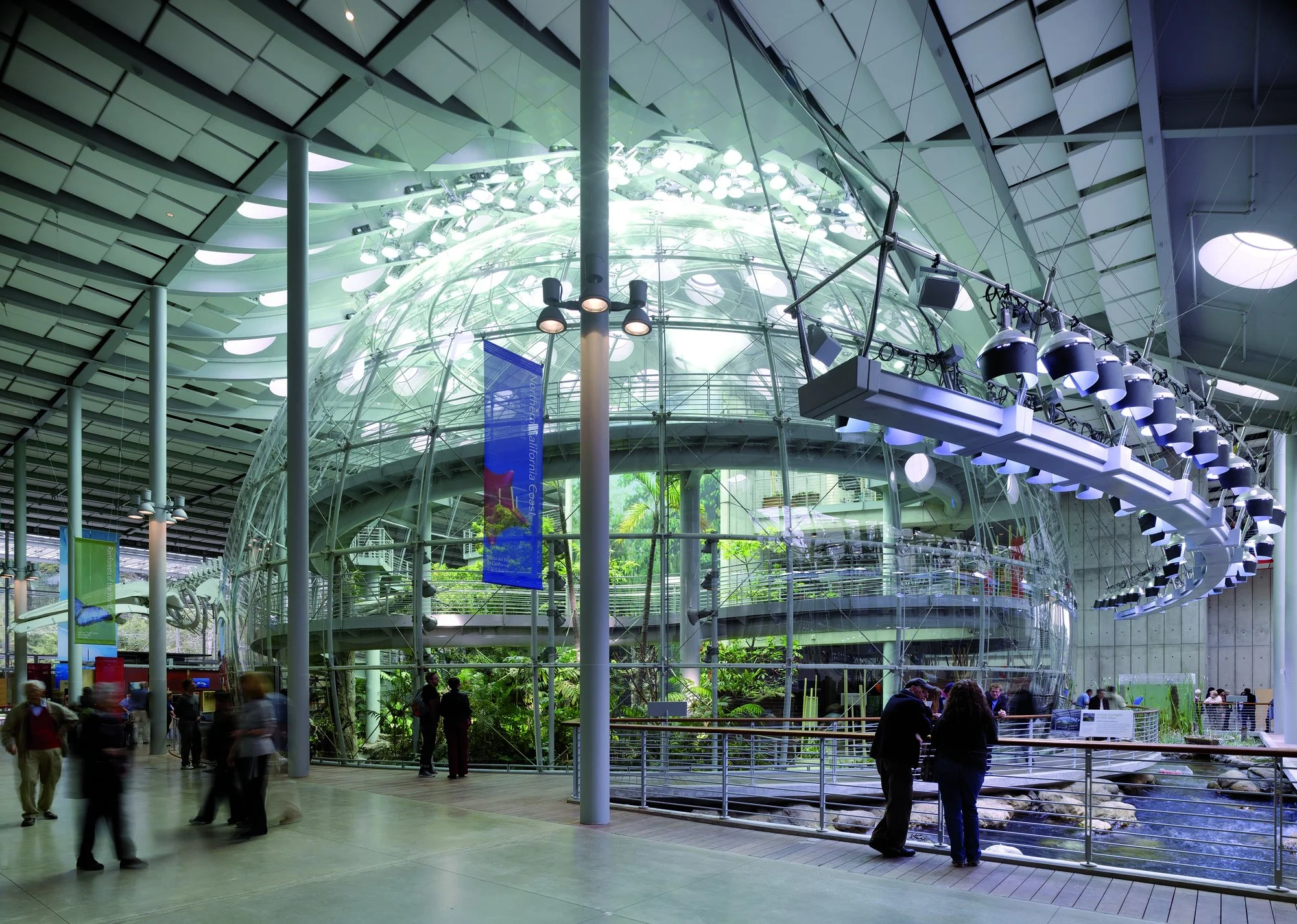 California Academy Of Sciences Interior.jpg