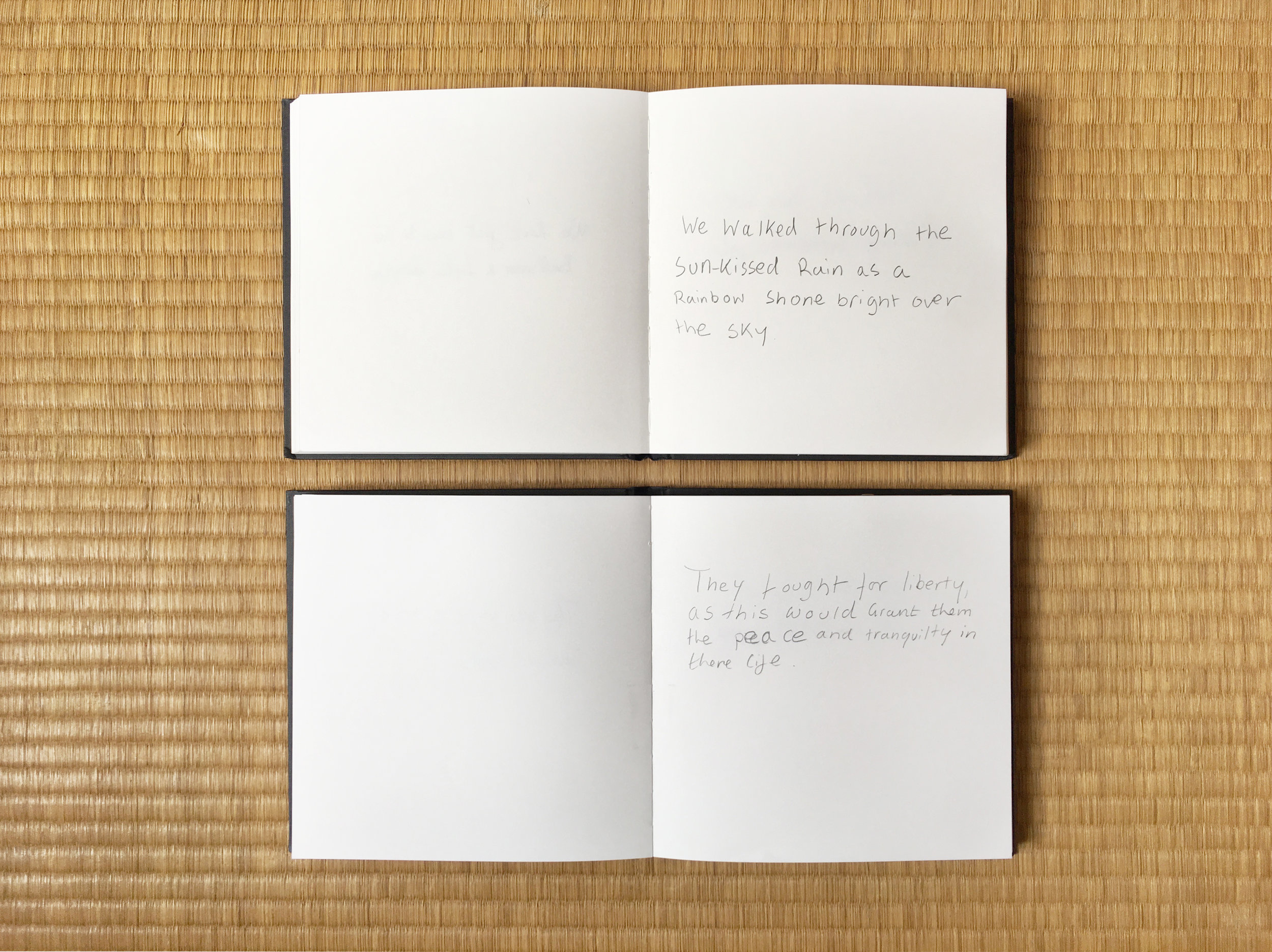 Two notebooks containing respectively “we” sentences and “they“ sentences.