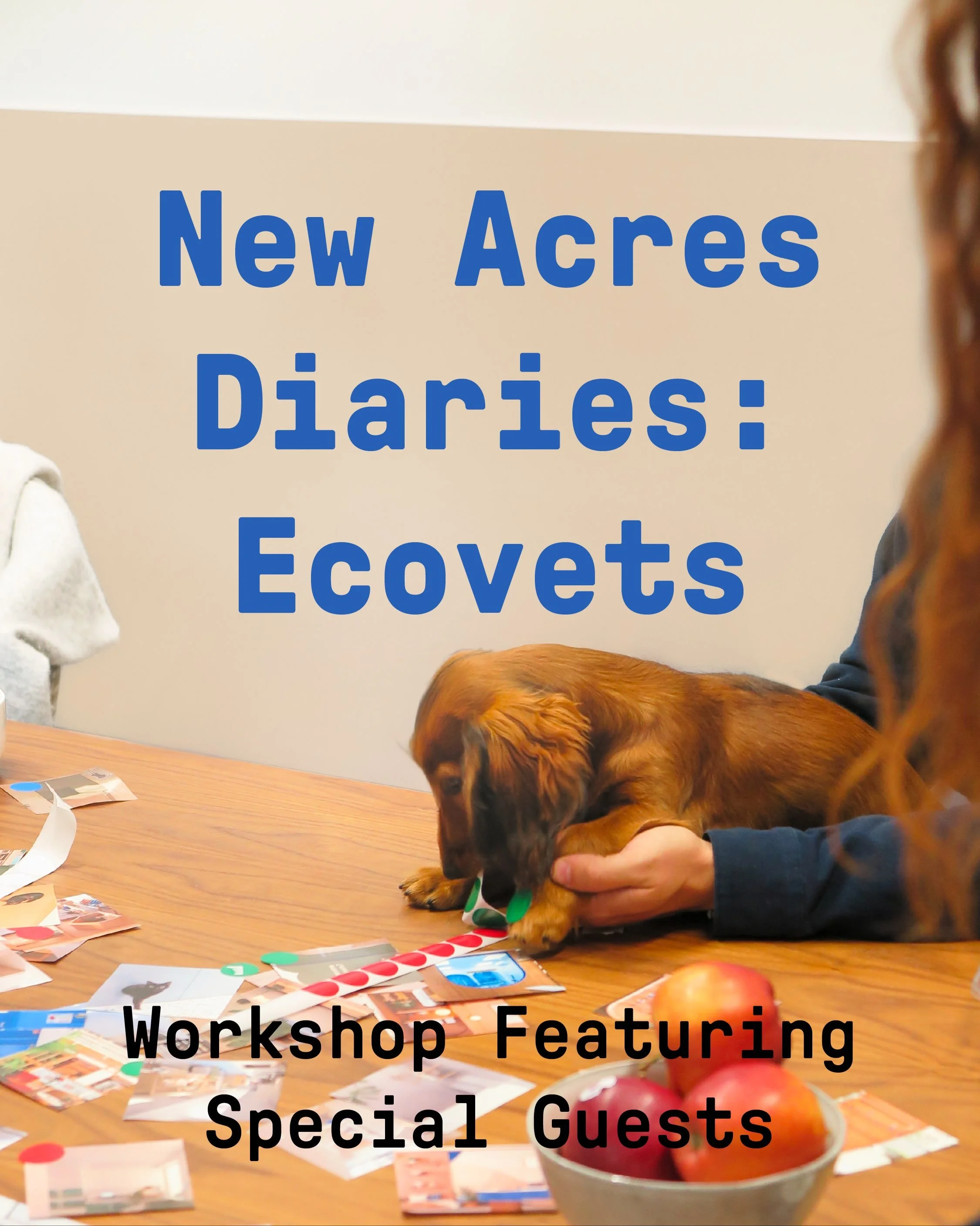 What does a veterinary space feel like before it exists?

In a workshop at @newacreswandsworth Acres, the @ecovetslondon community reflected on how they experience care, from calm waiting moments to the small details that shape trust. Cat and dog own