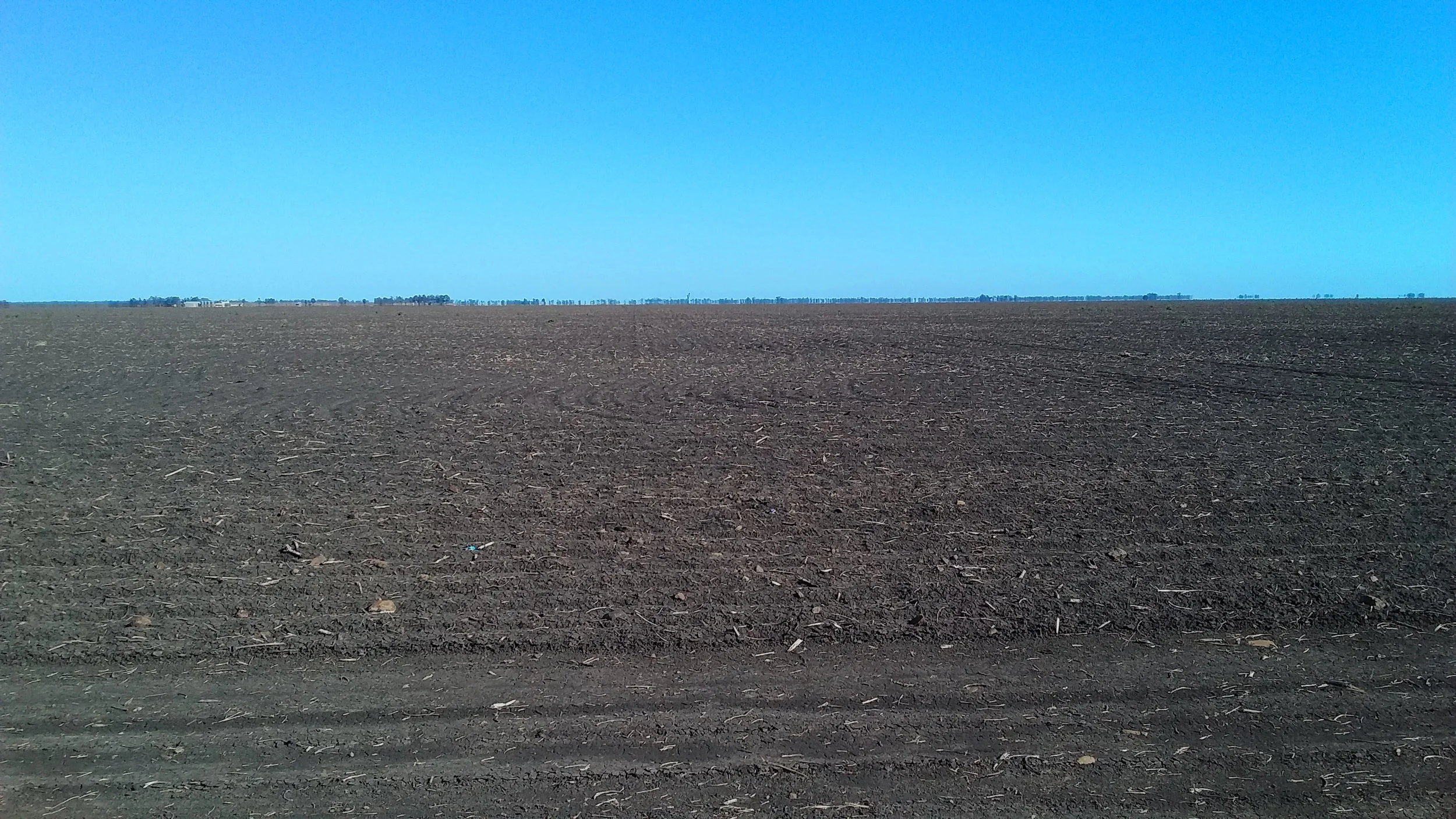 The black soil country of the Darling Downs, near Dalby