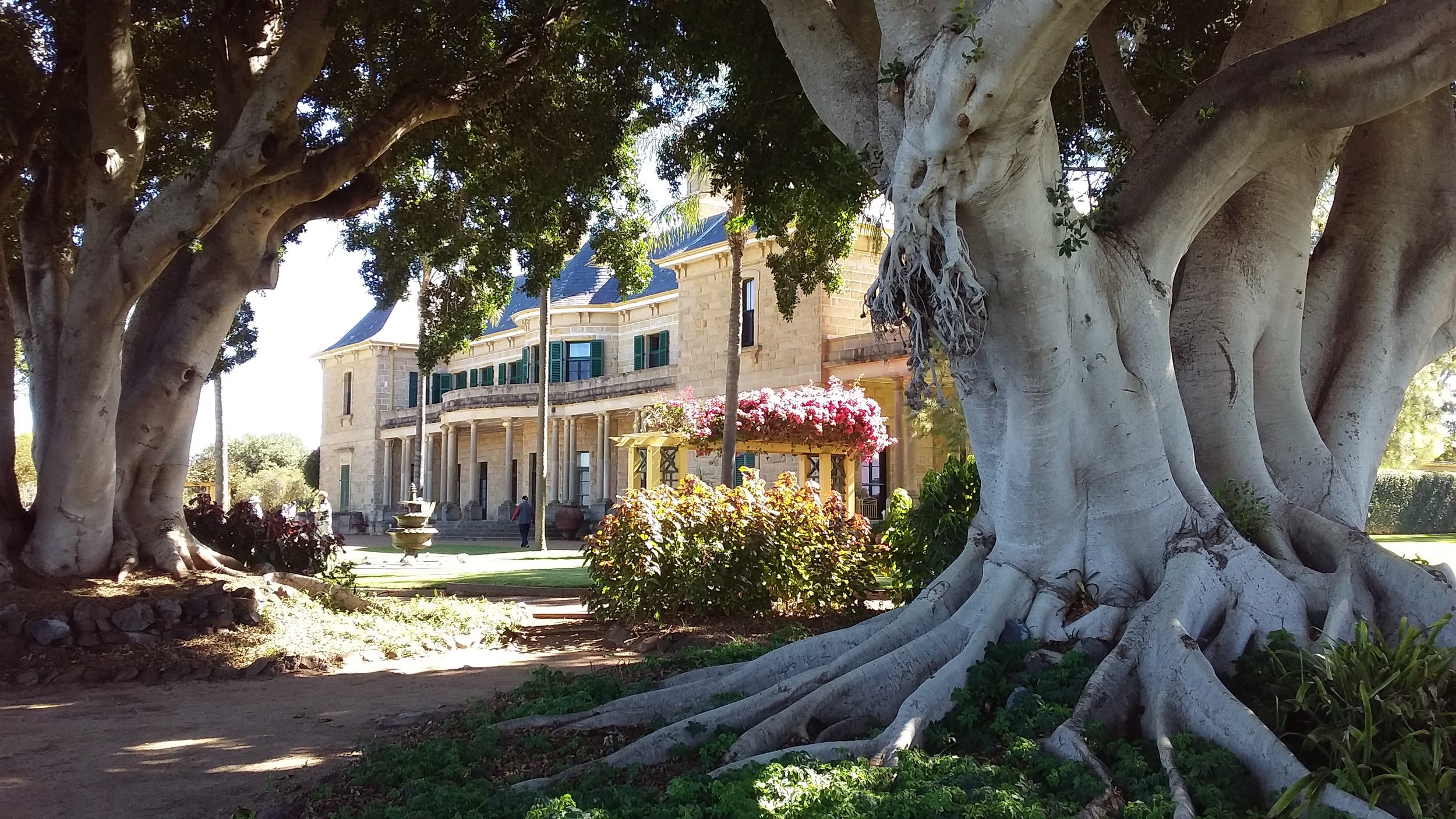 Jimbour House and gardens