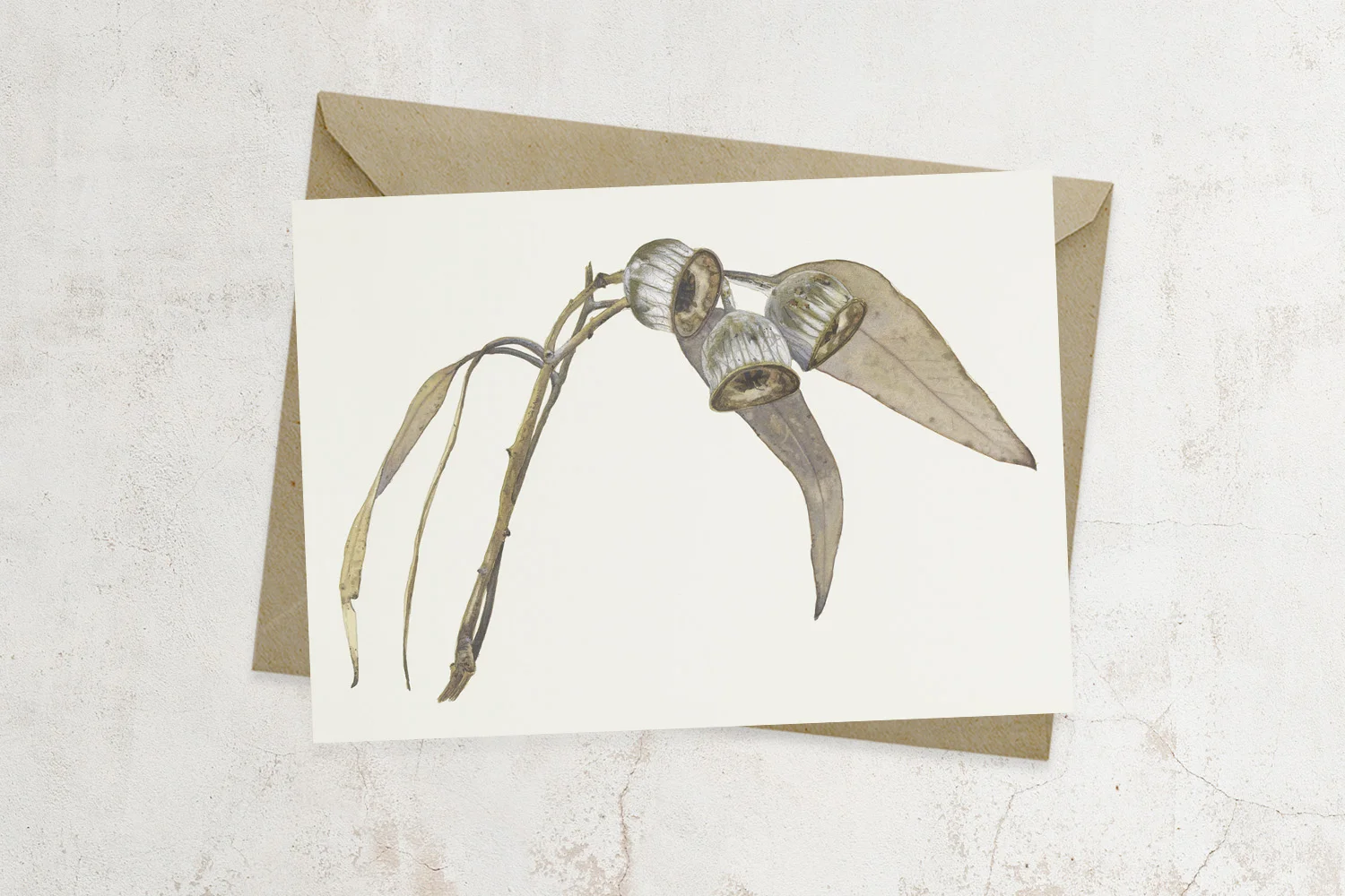 Dry Gum Nuts. Greeting card