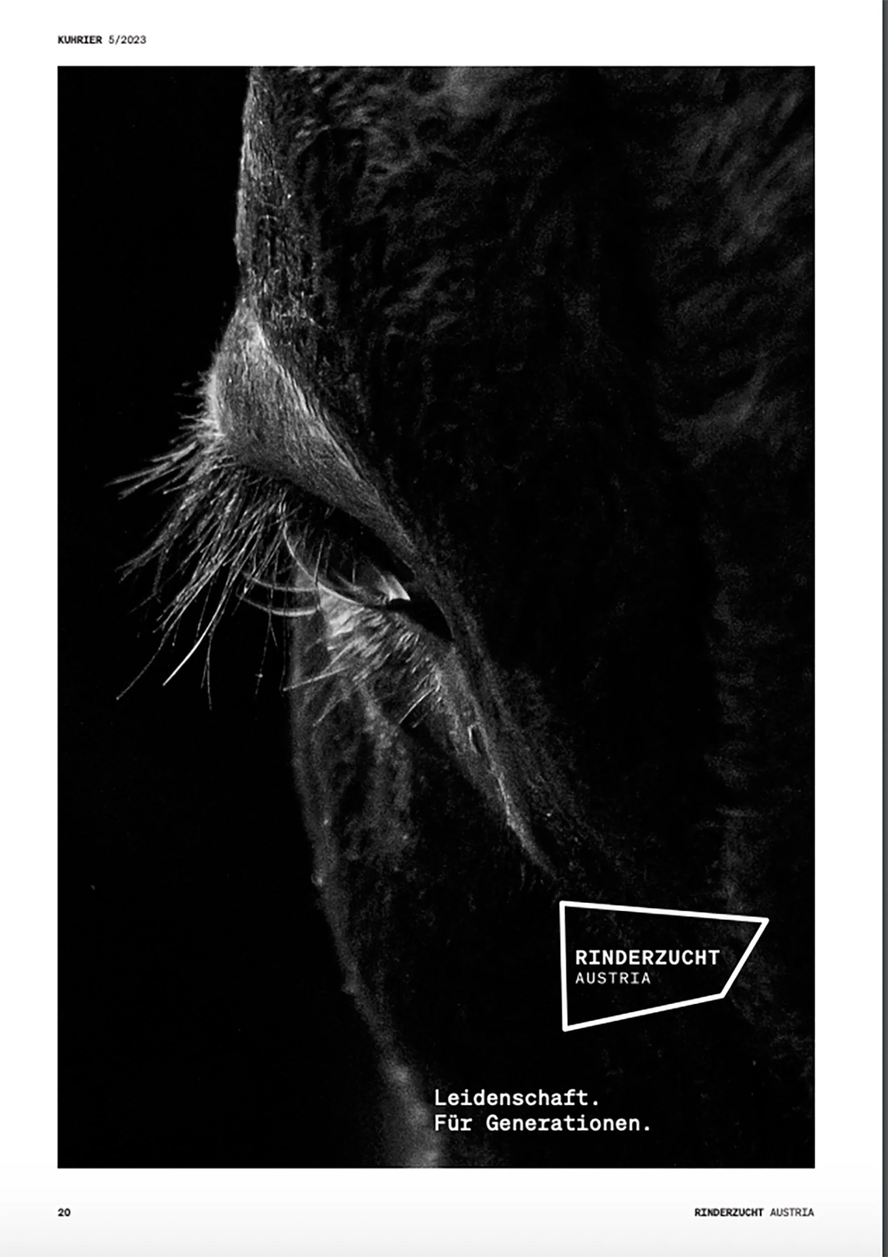 aBildschirmfoto 2023-06-24 um 05.25.48.jpg