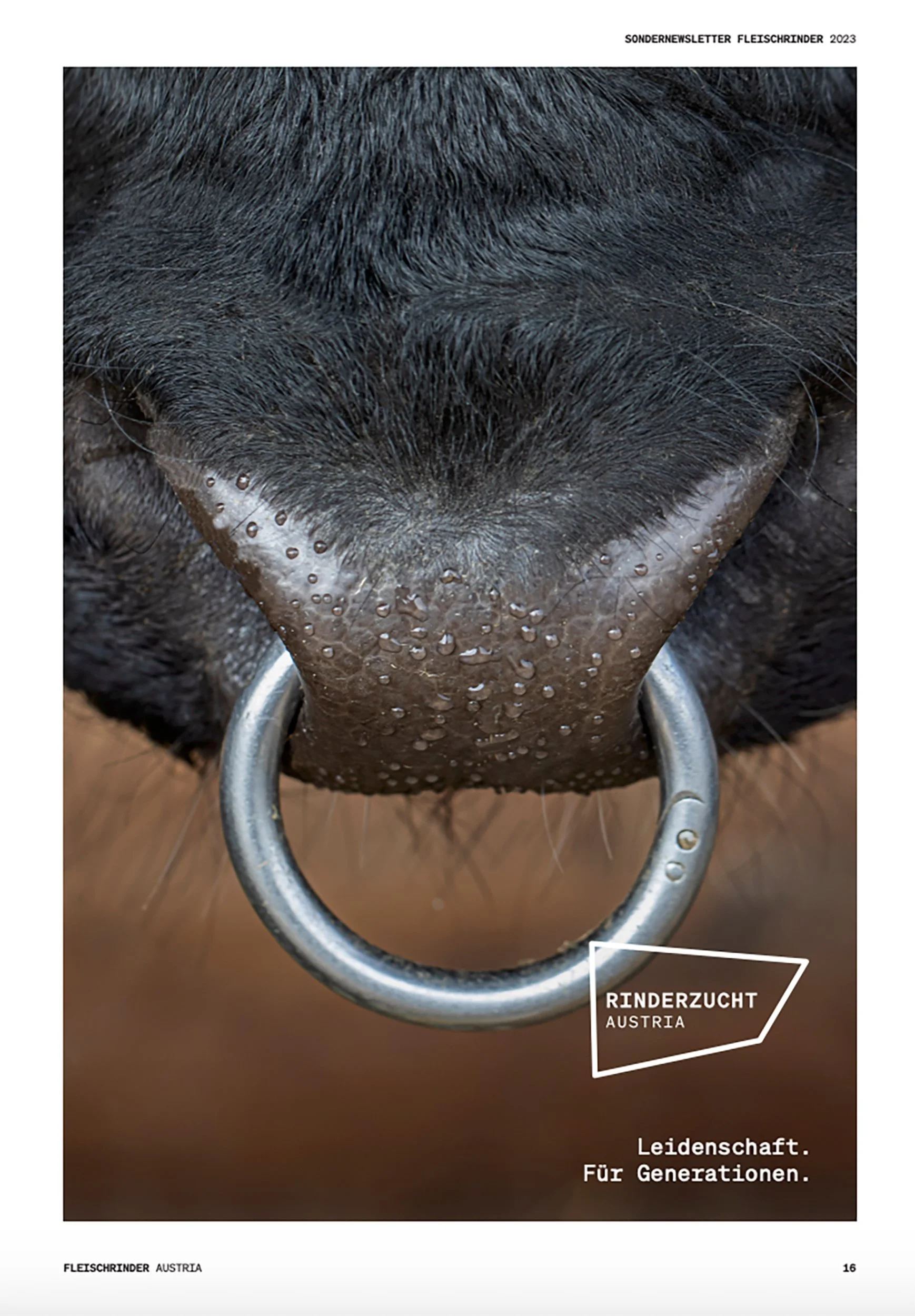 Bildschirmfoto 2023-06-24 um 05.24.39.jpg