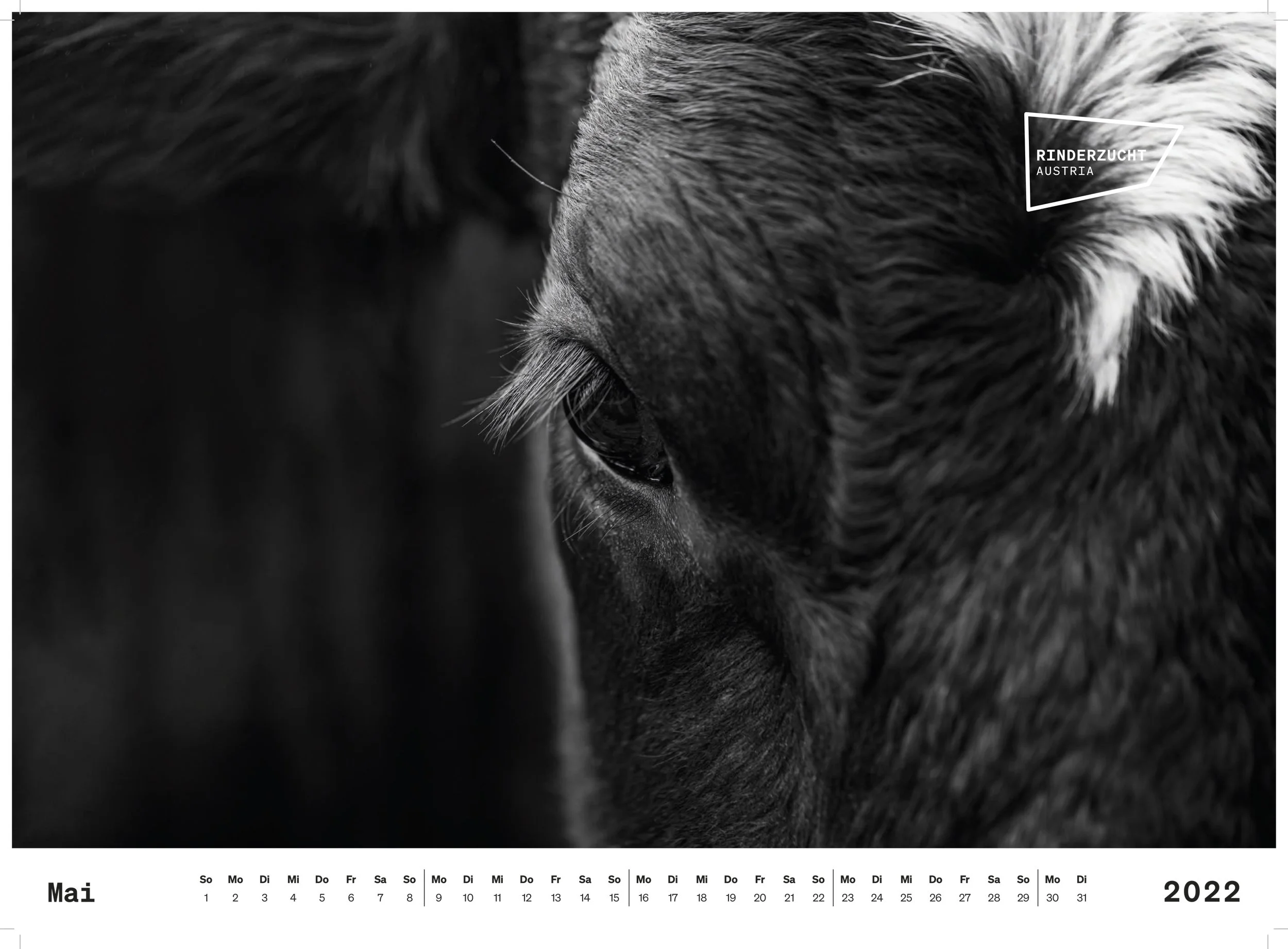 Kalender_Rinderzucht_22_480x335_Seiten_print-web-5.jpg