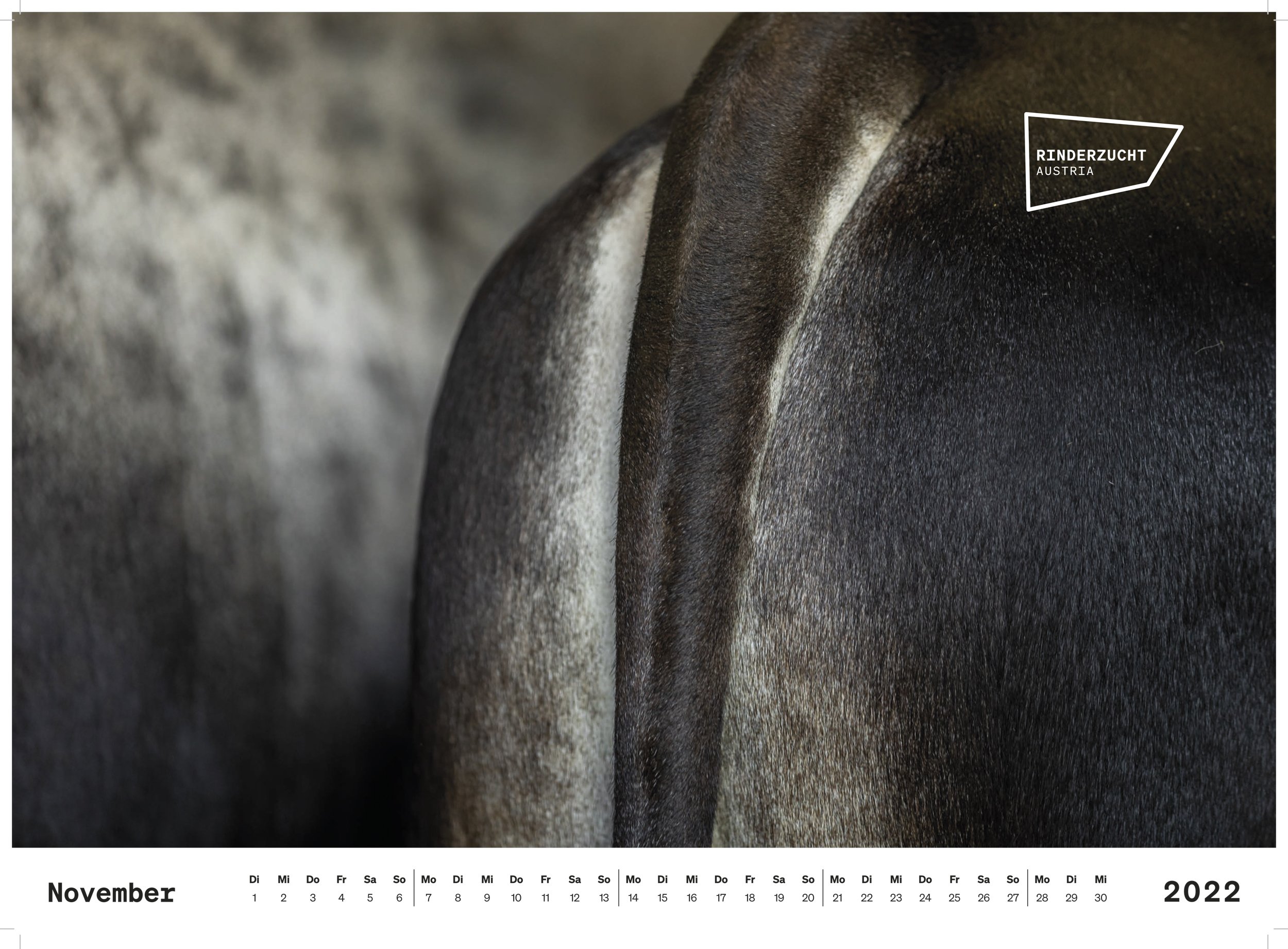 Kalender_Rinderzucht_22_480x335_Seiten_print-web-11.jpg