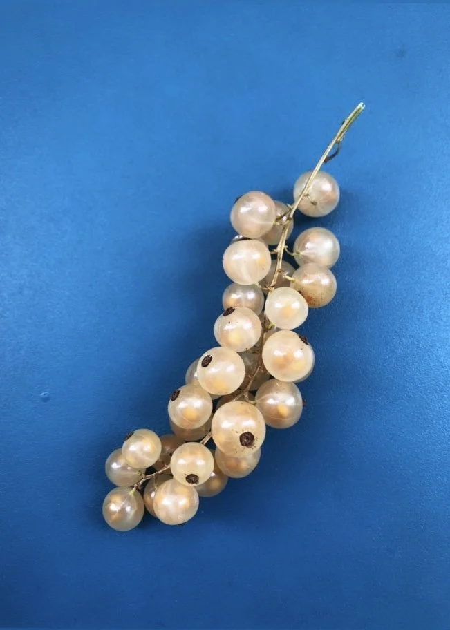 Valkoherukat parvekkeella.jpg