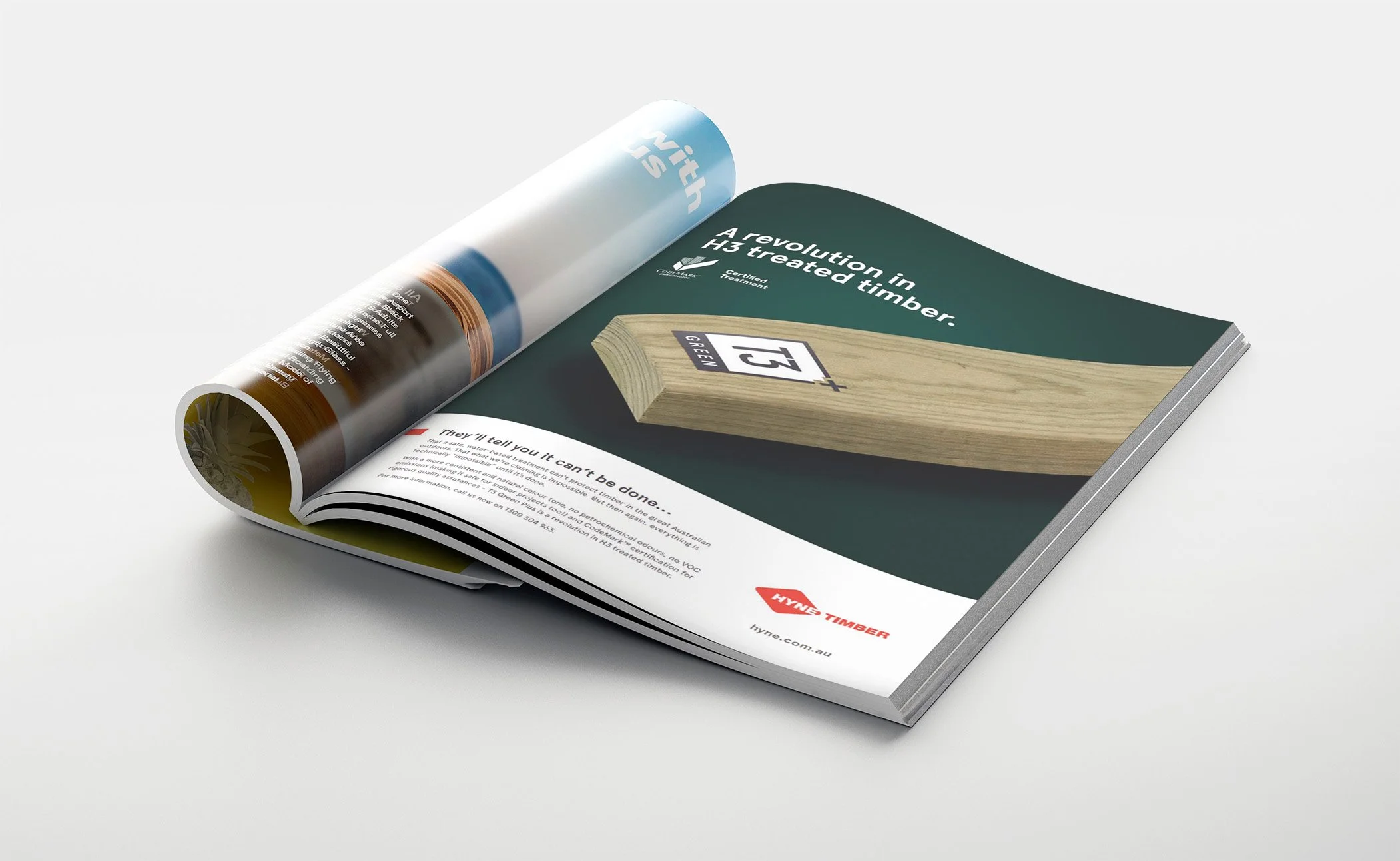 T3 Green plus Press ad.jpg