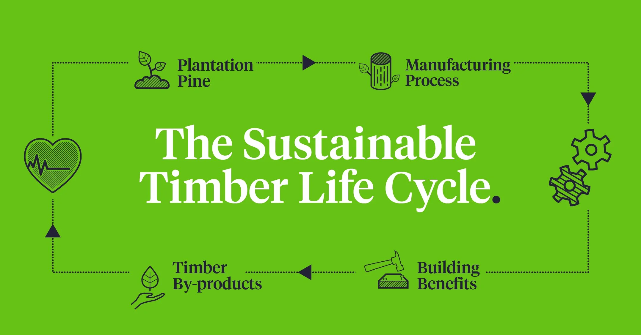 HyneTimber_TimberLifecycle.jpg