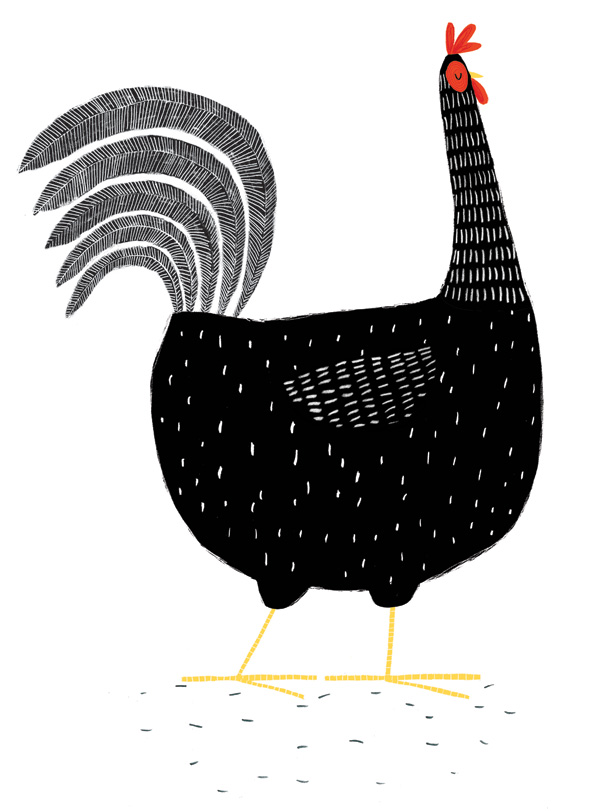 Chicken.jpg